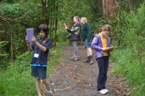 Tree time for teaching