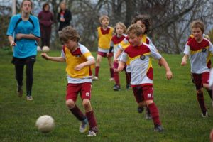 Tenth win for Monbulk Tigers