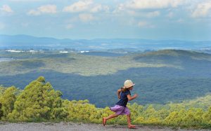 Walk will help link landscapes