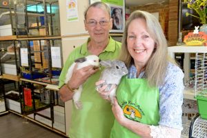 Forgotten bunnies put hopes in special day