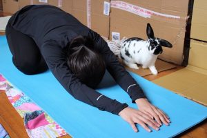 Inner cottontailed peace