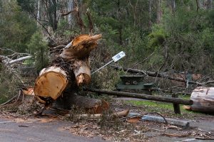 Fire danger amid warm, windy weather