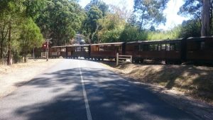 One in hospital after Puffing Billy crash