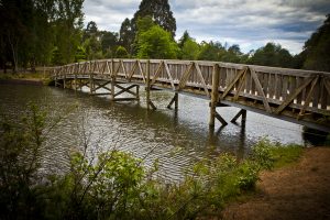 Planning for premier park’s future