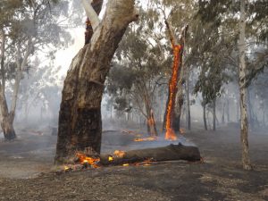 Three…steps to keep your campfire safe
