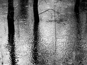 Flooding fears