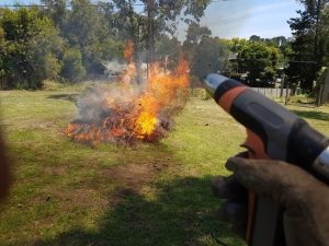 Burning confusion