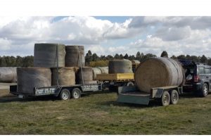 Hay to help