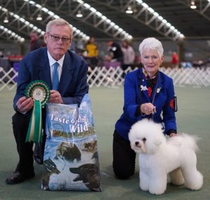 The Belgrave and District Kennel Club celebrate 50 years