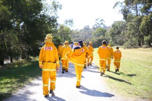 Training for the fire season