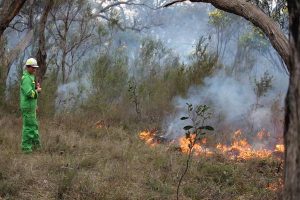 Planned burn in Kalorama