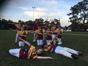 Hawks fall short