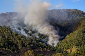 Burn-off restrictions now in force