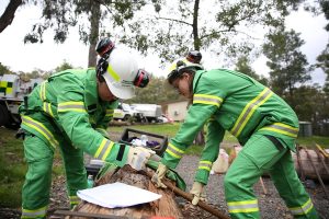 Firefighters begin their training for fire season