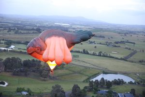 Is it a bird? Is it a plane? No, it’s a Skywhale.