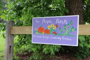 Garden growing ties
