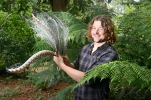 Living with lyrebirds