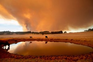 Anger over fire management