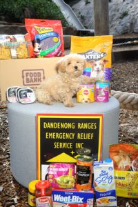 Helping our four-legged family members