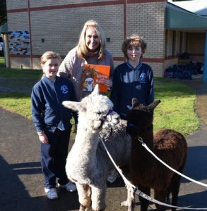 Alpacas, maracas and fun
