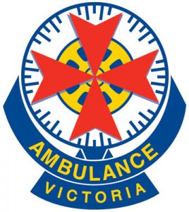 Woman and child treated after tree falls on car