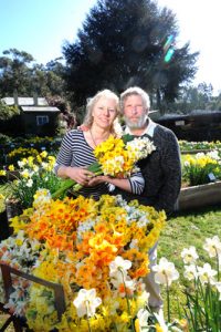 Blooming marvellous spring displays