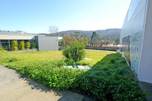 Objection rejected in VCAT backfire