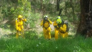 Second batch of drums dumped in Dandenong Ranges National Park