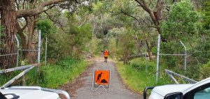 Trees removed following community backlash