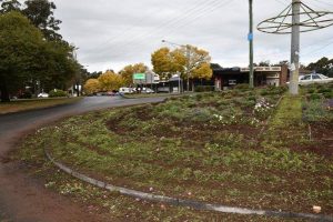 Roundabout rampage