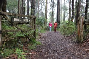 Forest patrols this weekend