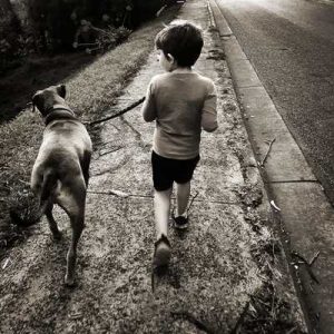 Photo competition captures Covid-life