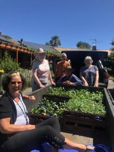 A gardening hand for Mallacoota