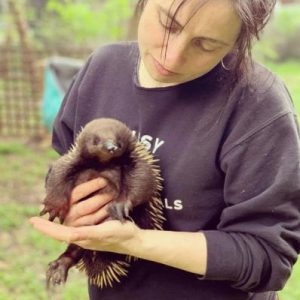 Get to know your local wildlife