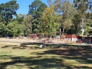 20-12 Belgrave Park playspace upgrade completed