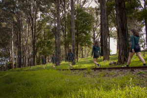Yarra Ranges 2021 students artwork to be displayed in February Creative Showcase in Healesville