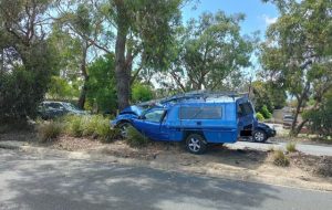 White SUV forces 66-year-old man off road and into a tree