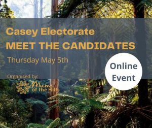 Mums of the Hills meet the Casey candidates event