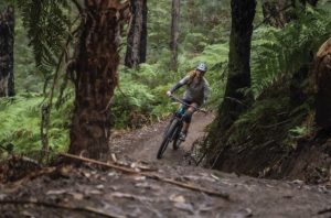 Yarra Ranges a key spot for mountain bike riders in Autumn