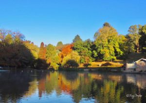 SNIPPETS: Friends of Emerald Lake Park planting project