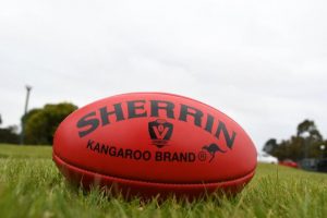 Monbulk Reserves a shining light