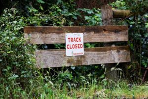 Lyrebird track set to reopen June 4, 1000 Steps remains closed