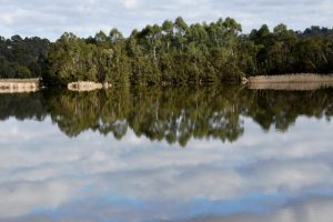 Census data shows growing Yarra Ranges