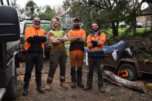 Tree removalists warning locals about safety this Winter
