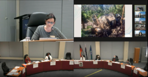 Knox City Council declares climate emergency