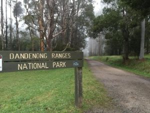 Victoria Police training exercise at Dandenong Ranges National Park