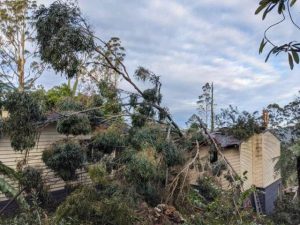 Yarra Ranges residents report rising cost of insurance premiums