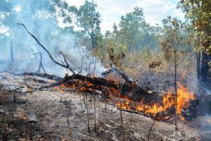 New Fire Danger Ratings system from September
