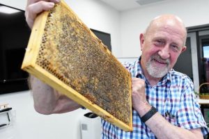 ’Un-bee-lievable’ creatures
