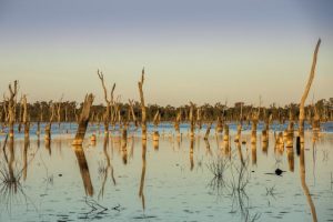 Documentary Lake of Scars airing for free at Memo Cinema